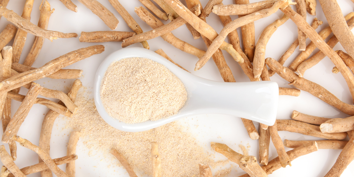 A scoop of Ashwagandha powder sits on top of a pile of Ashwagandha roots.