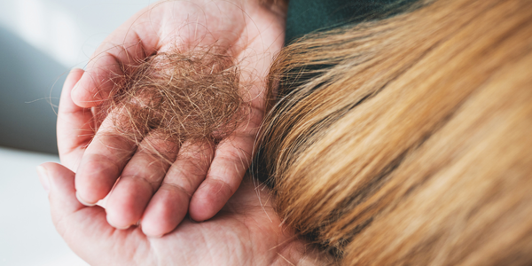 Close-up of a person holding a large clump of shed hair in their hands next to their long blonde hair, illustrating noticeable hair loss.