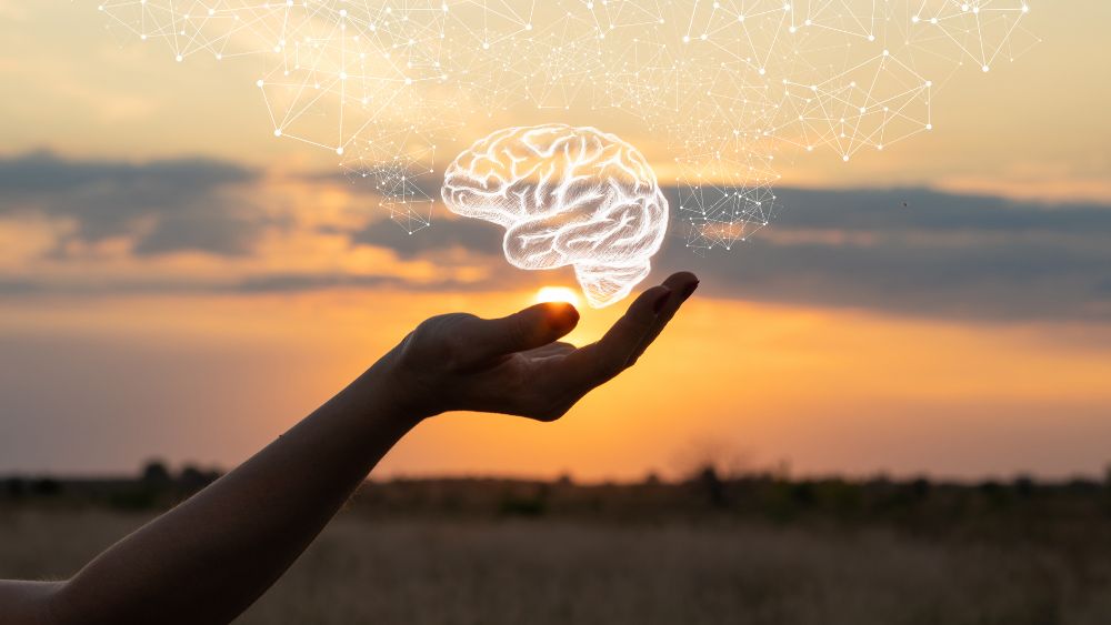 Brain Supplements