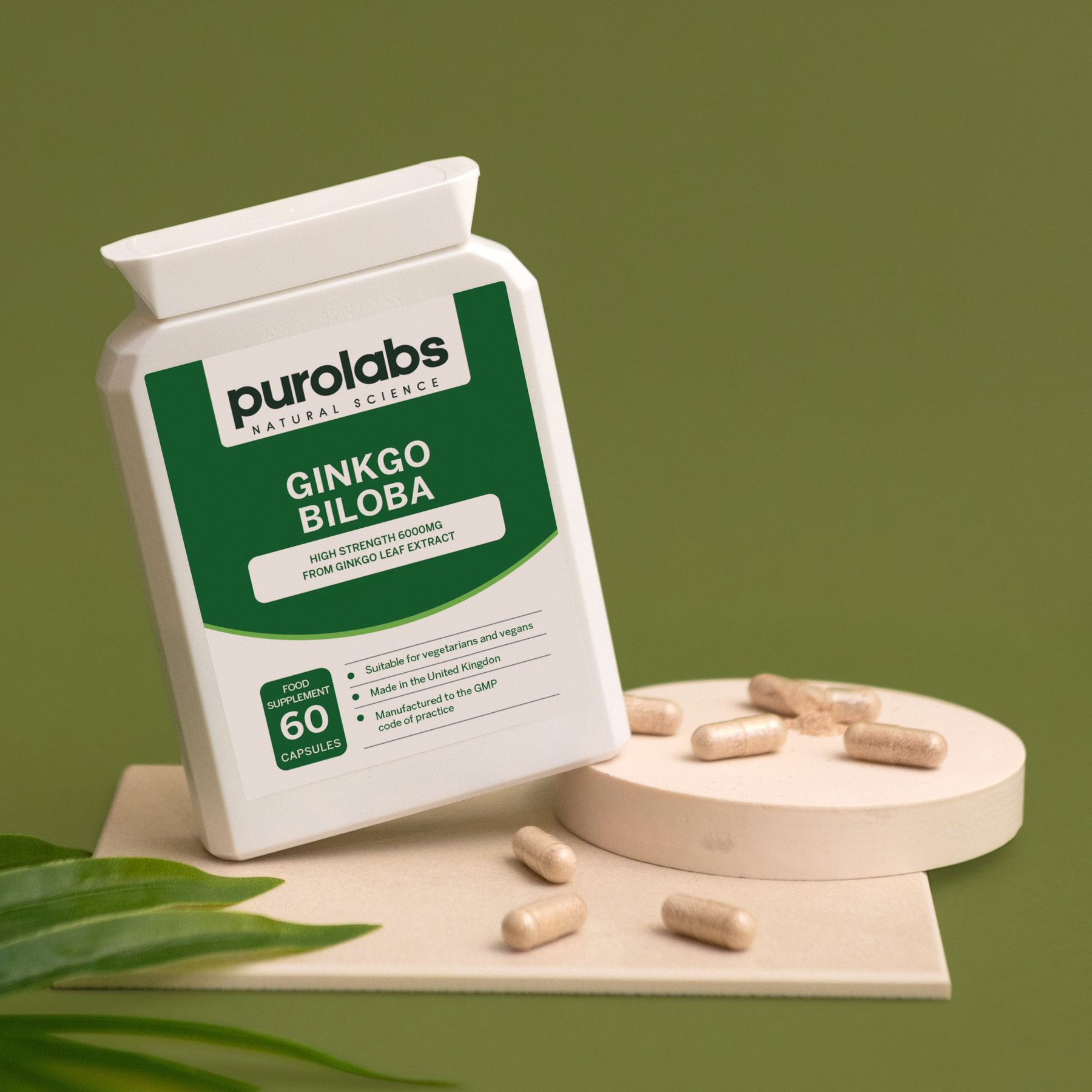 Ginkgo Biloba