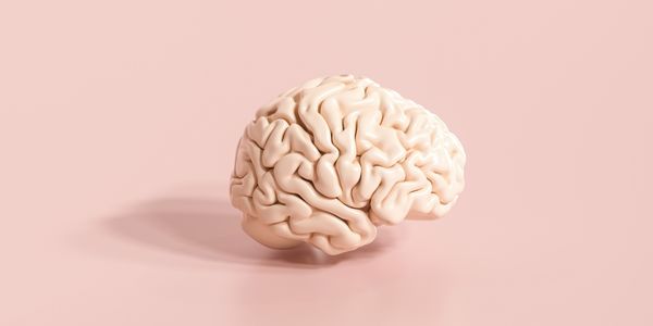brain alone in a pink background
