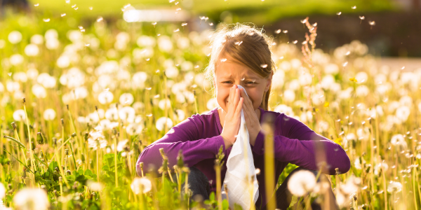 Young girl in a field of dandelions holding a tissue to her nose as fluff and pollen drift around her.