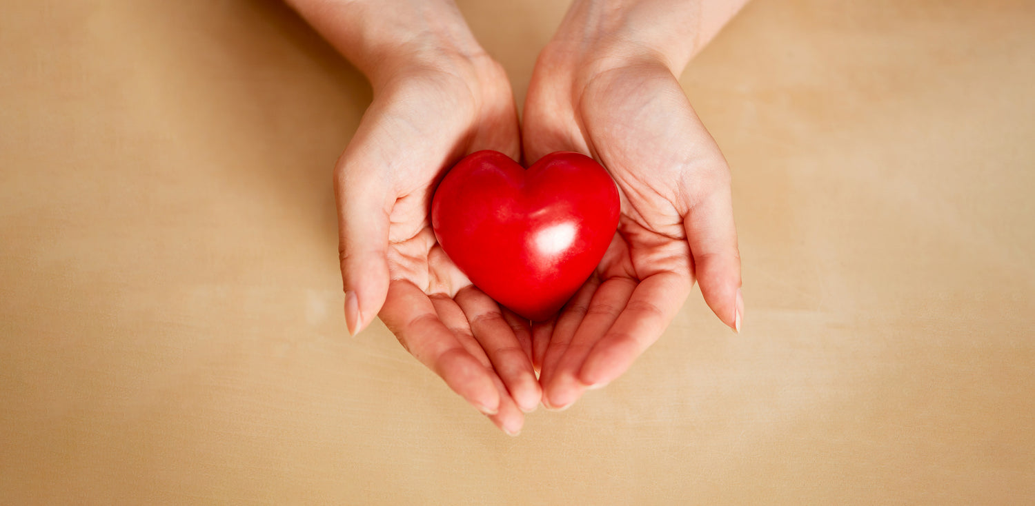 A person holding a heart in their hands