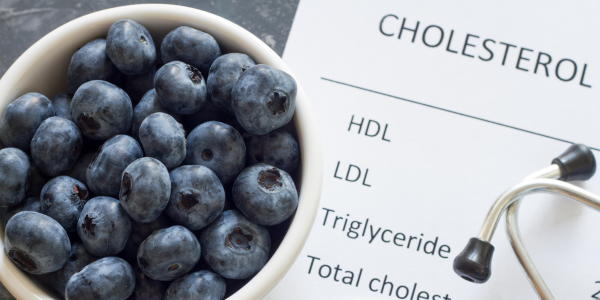 A bowl filled with blueberries next to a stethoscope and a piece of paper where there are written these words: Cholesterol, HDL, LDL and Triglyceride