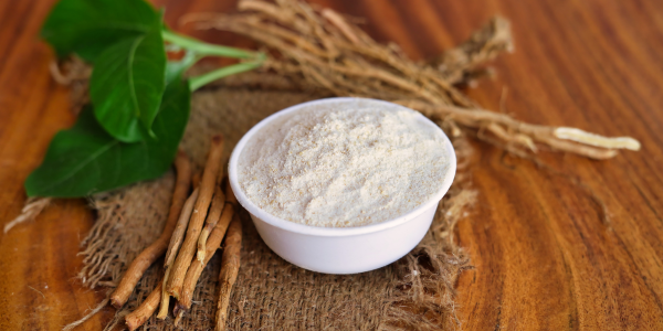 Roots and powder of Ashwagandha in white bowl on wooden background. Indian ginseng, poison gooseberry, or winter cherry.