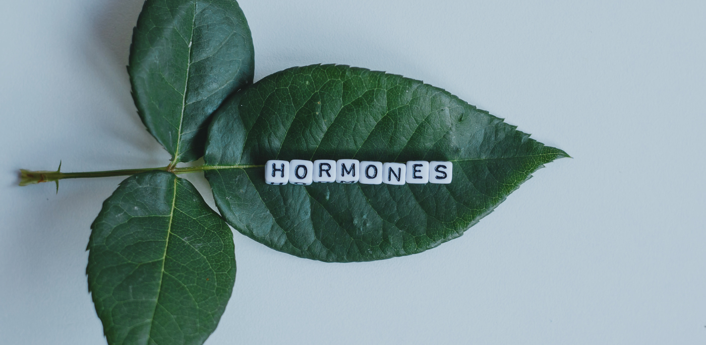 A single green leaf with a stem, positioned against a plain white background. Across the center of the leaf, the word "HORMONES" is spelled out in capital letters 