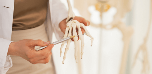 A doctor holding a hand skeleton model in their hands.