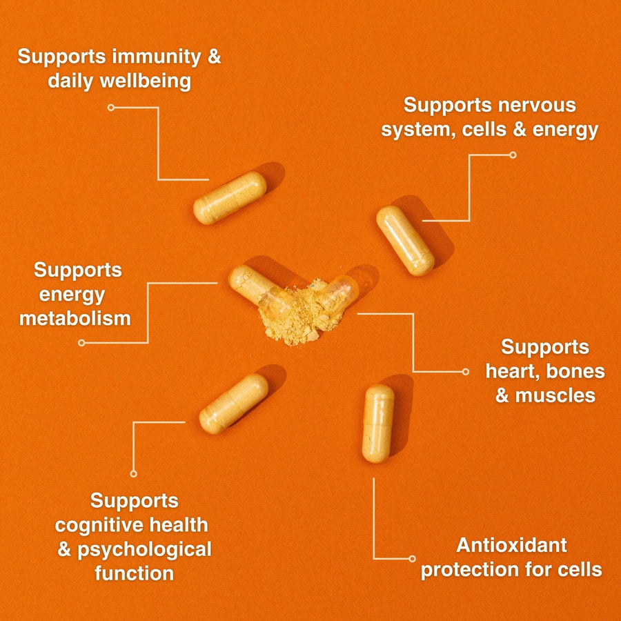 Vegan Multivitamin Multivitamins Purolabs