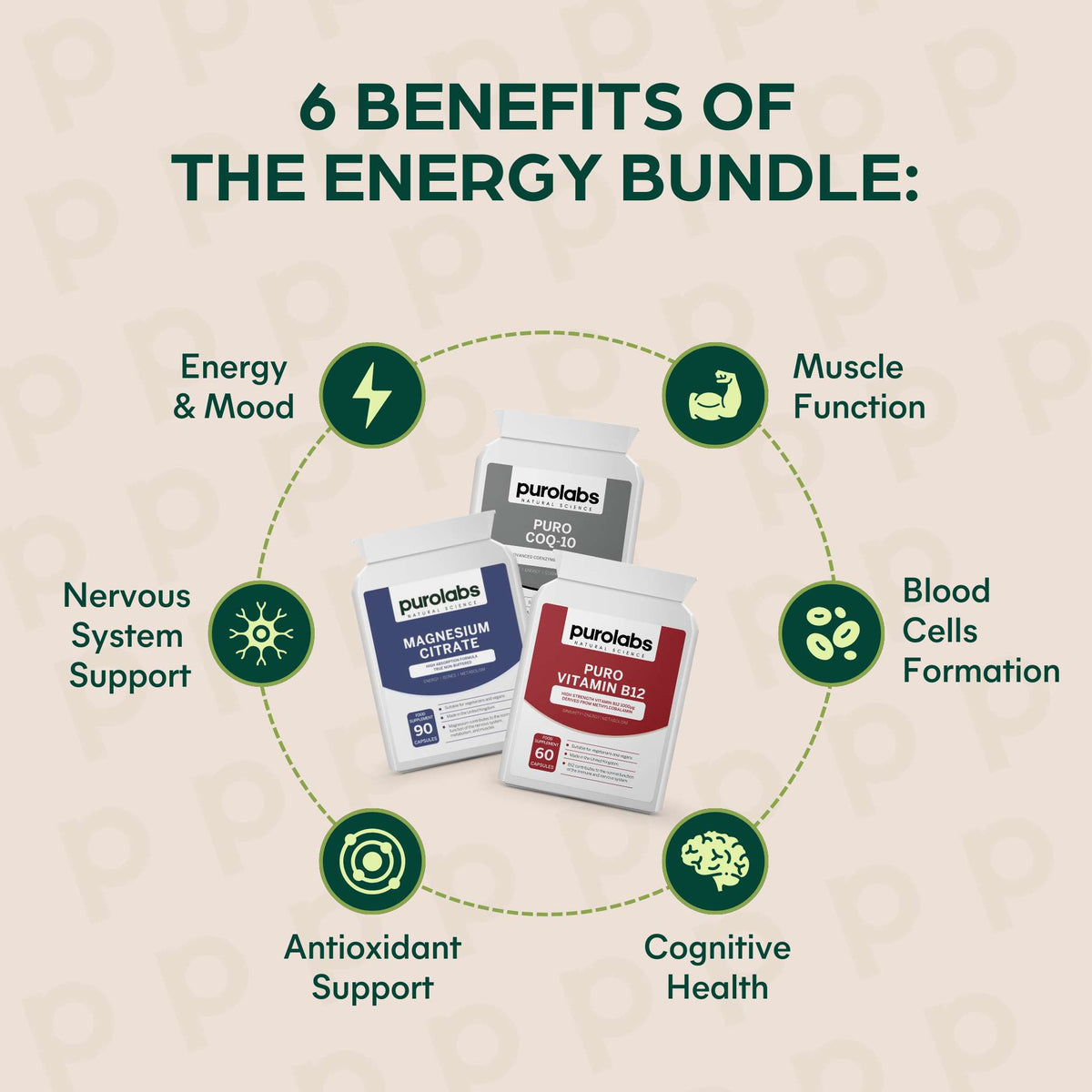 Energy Essentials Bundle