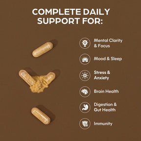 Lions Mane Capsules