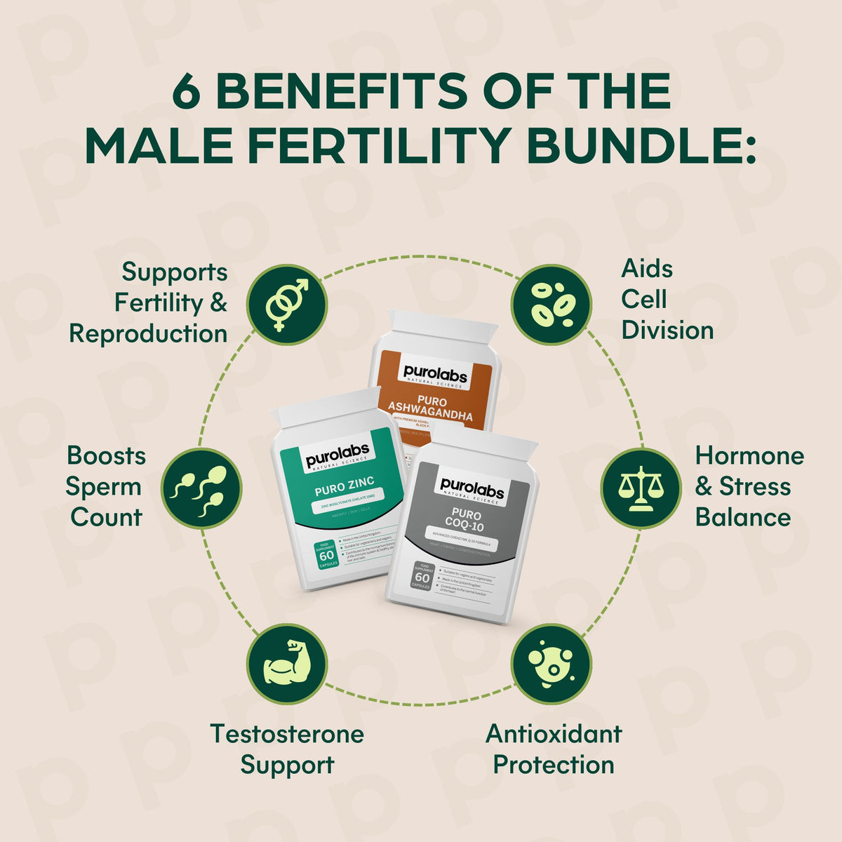 Male Fertility Bundle