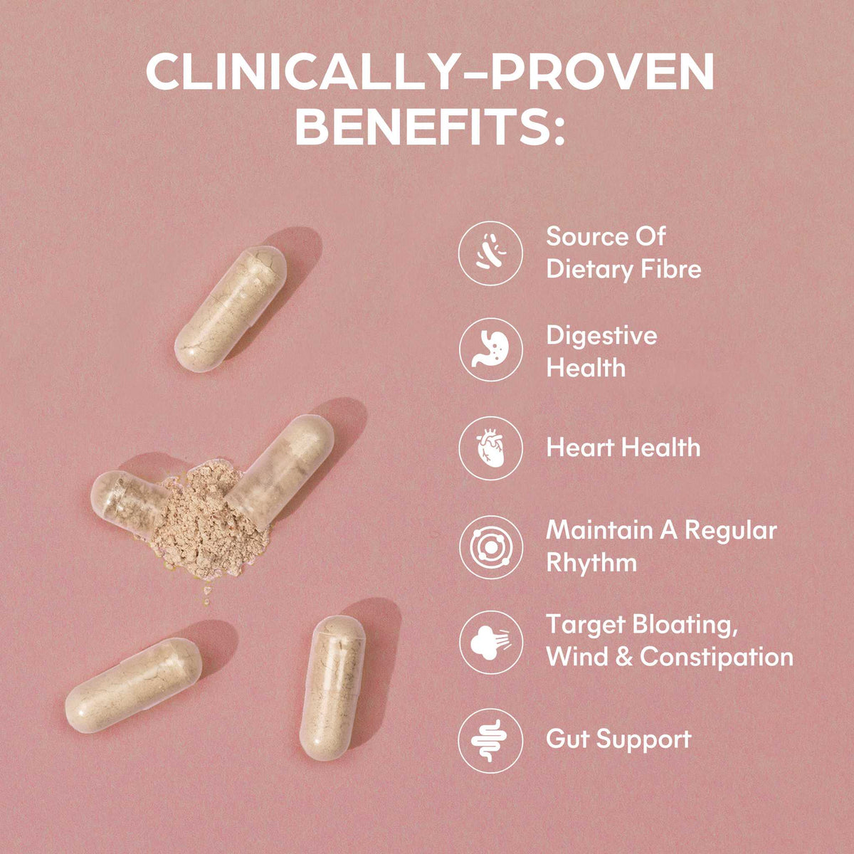 Psyllium Husk