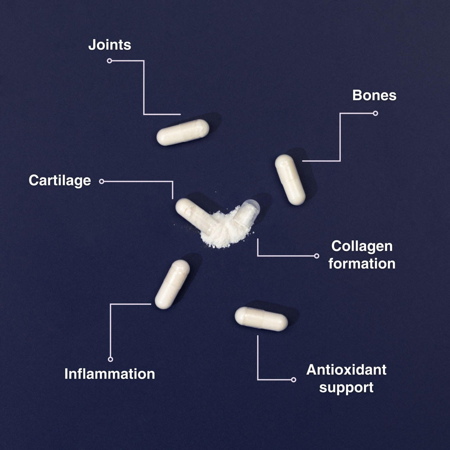 Glucosamine Sulphate 2KCL Complex Purolabs Nutrition