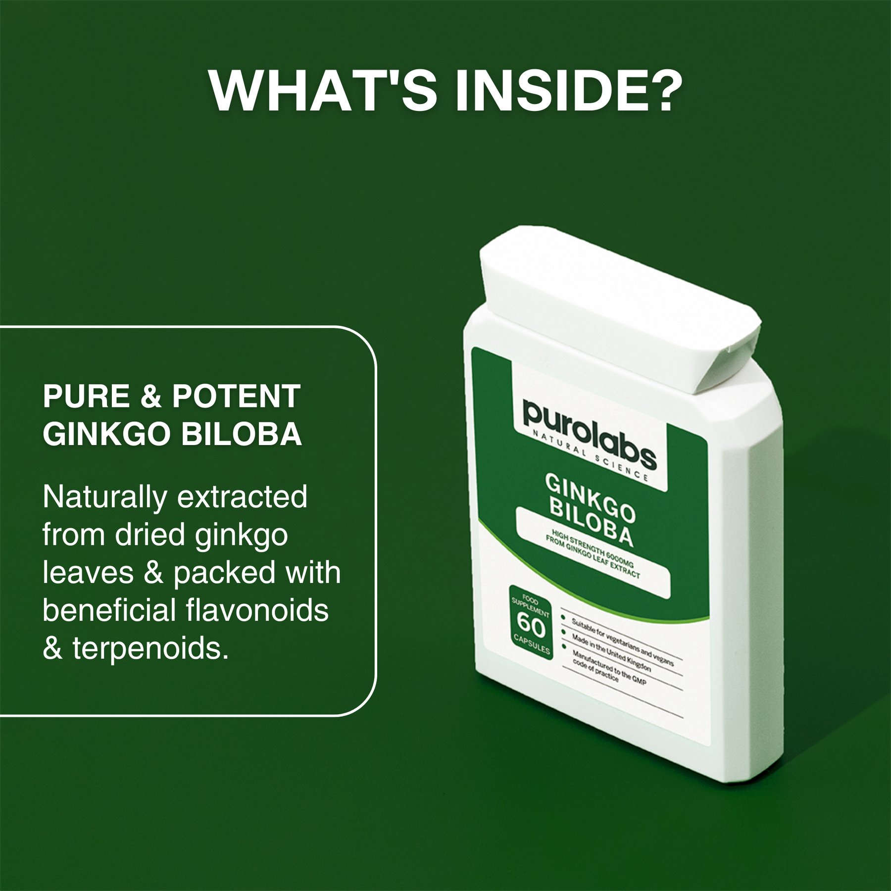 Ginkgo Biloba