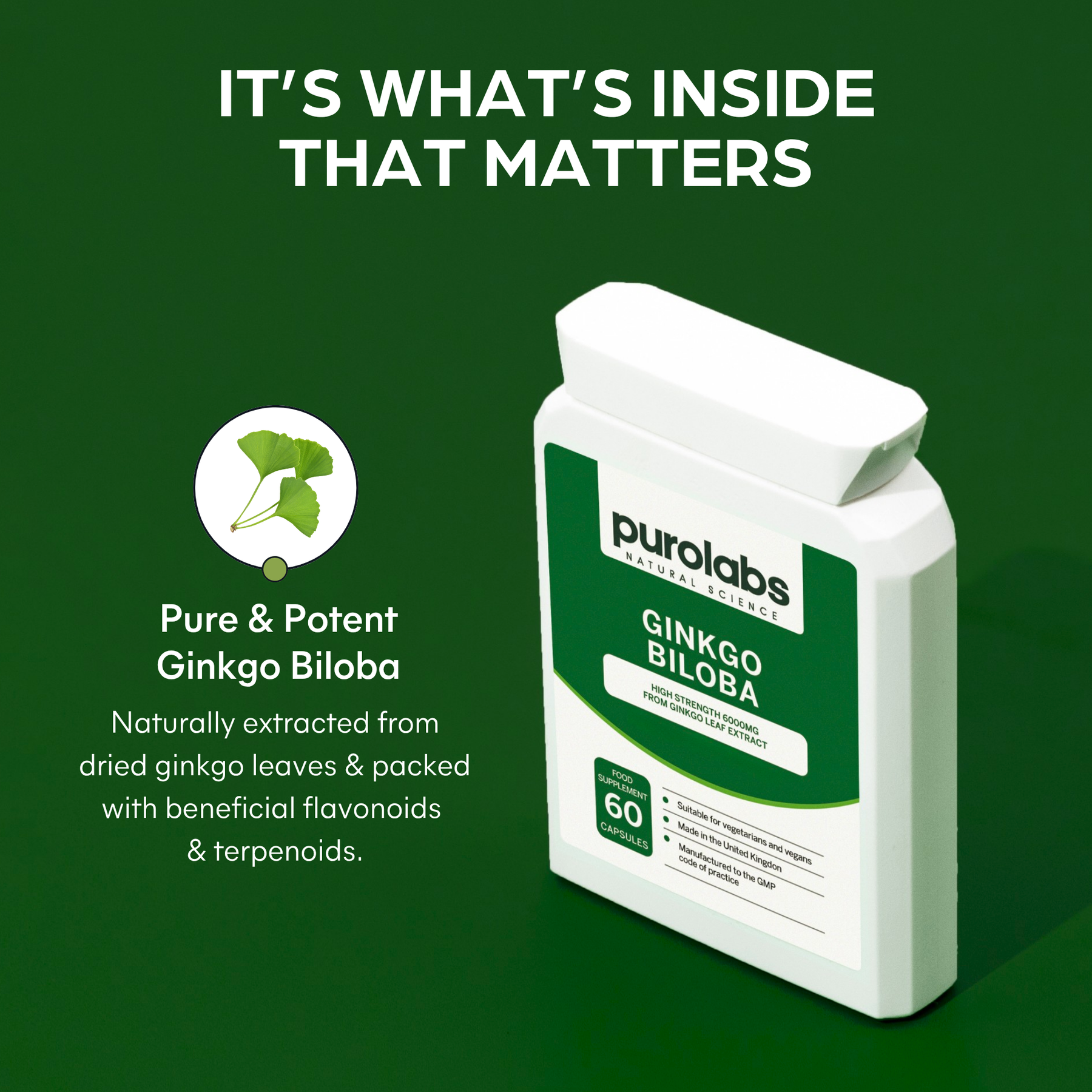 Ginkgo Biloba