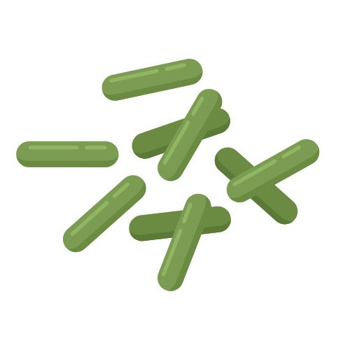 Gut Health Bundle V2