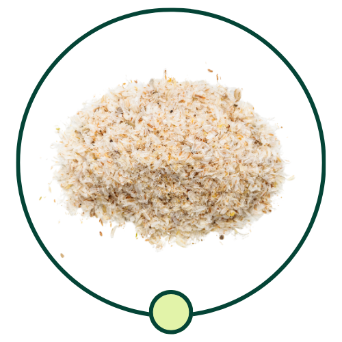Gut Health Bundle