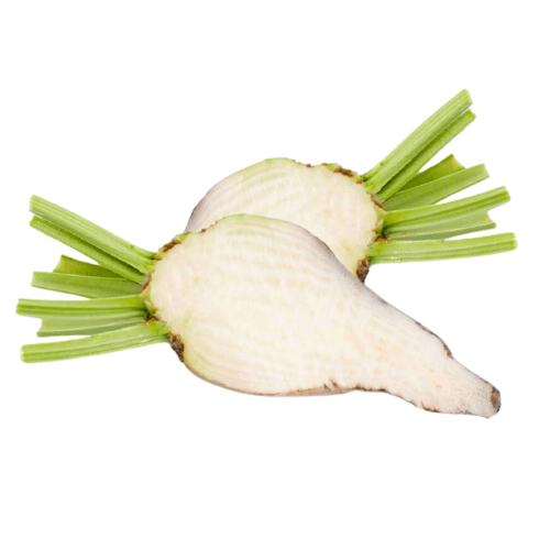 Female Fertility Bundle