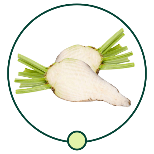 Female Fertility Bundle
