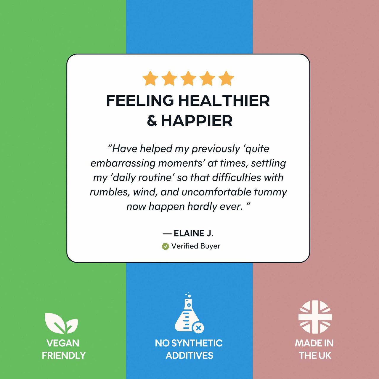 Gut Health Bundle V2