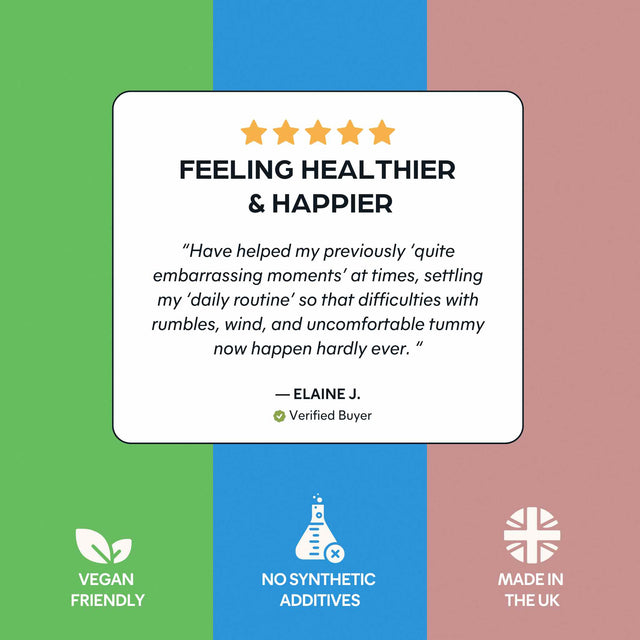 Gut Health Bundle V2